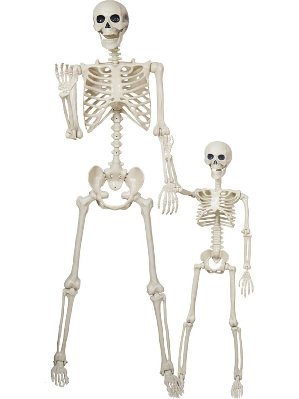 5.4Ft & 3Ft Skeleton for Halloween Decoration